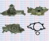 AQUAPLUS 85-8451 Water Pump